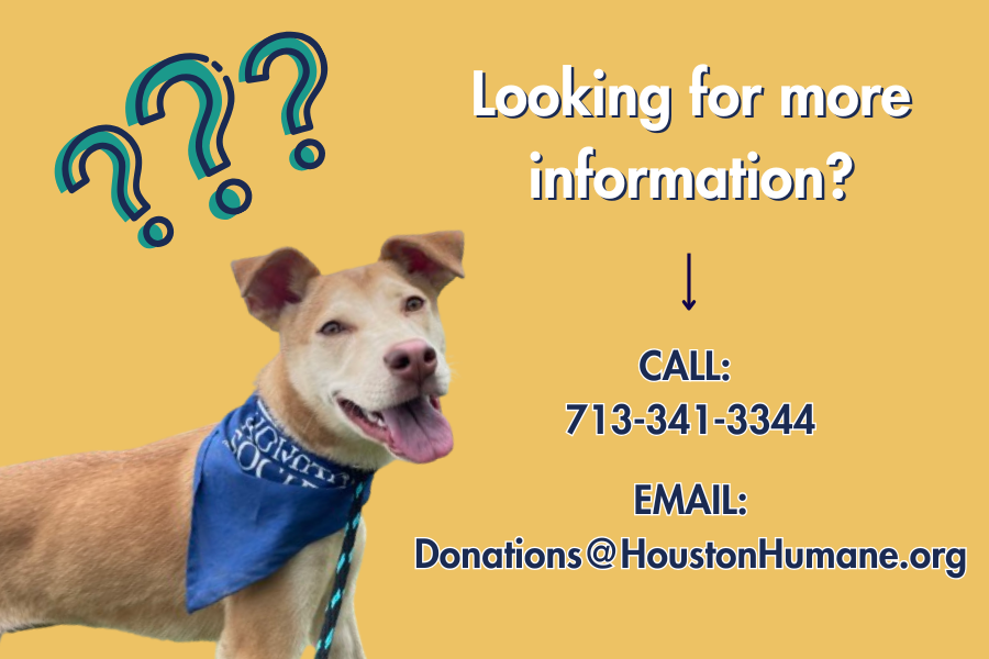 more-info-card-website-4