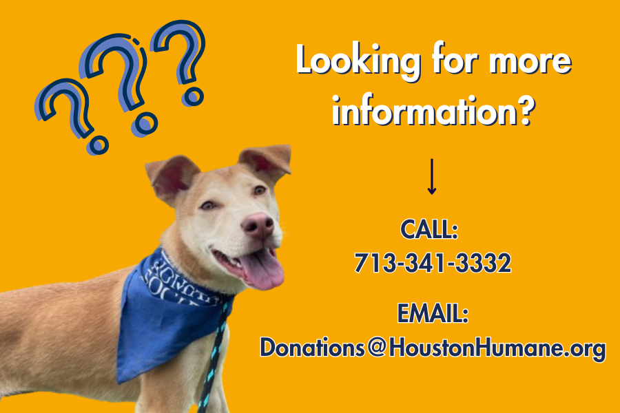 more-info-card-website-4