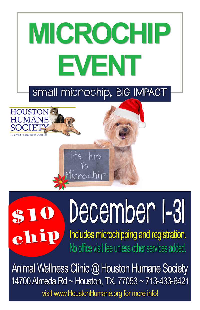 10-microchip-special-poster-december