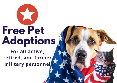 Houston Humane Society | Free Pet Adoptions for Veterans