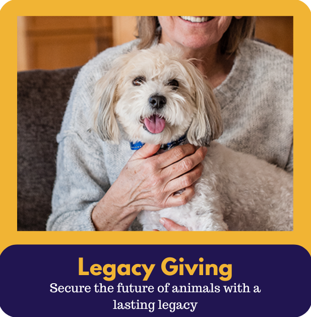 2legacy-giving