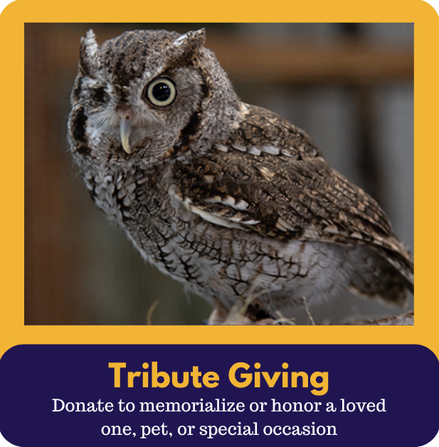 5tribute-giving