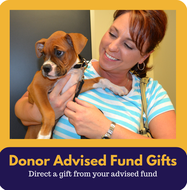 donor-advised-fund-donations