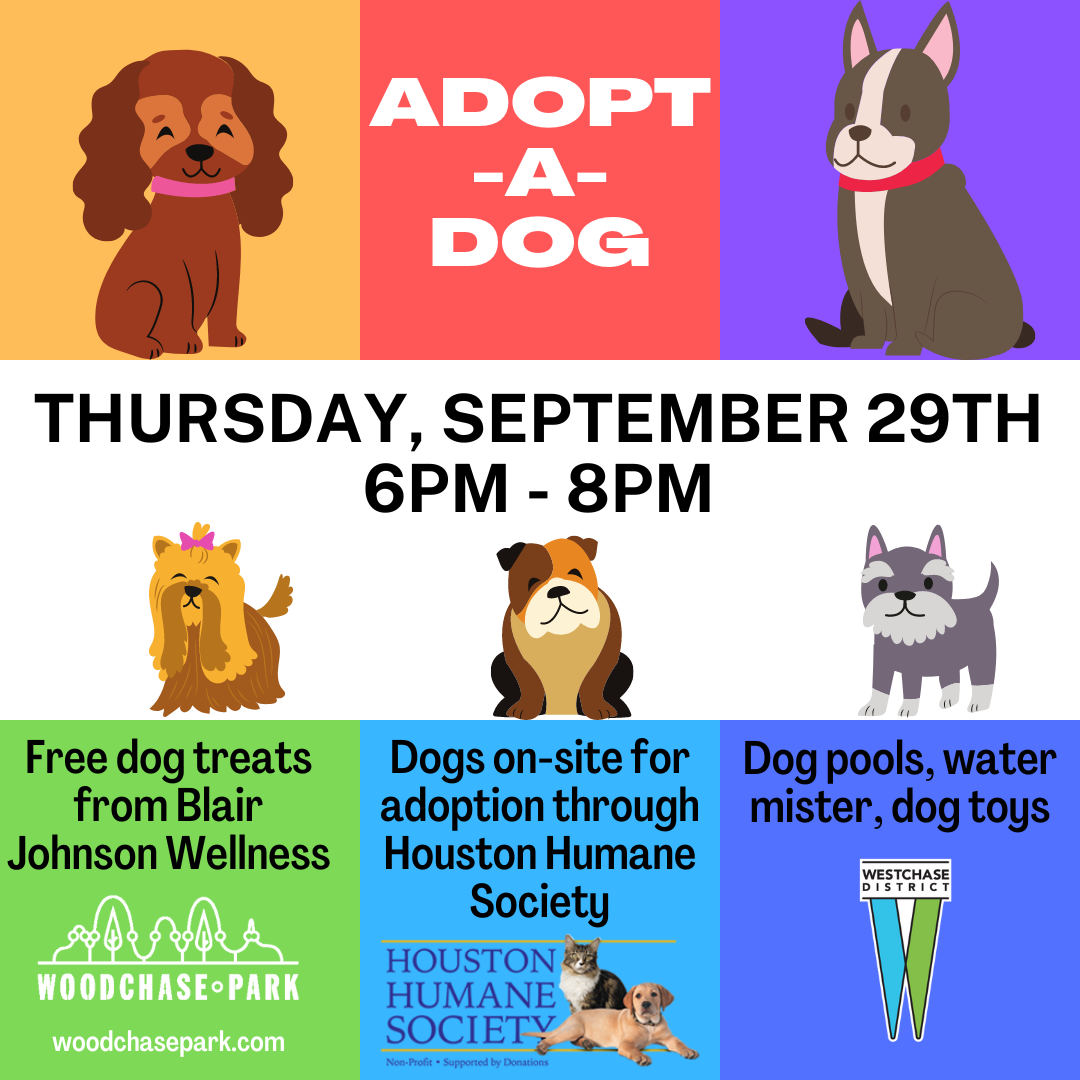 adopt-a-dog-flyer