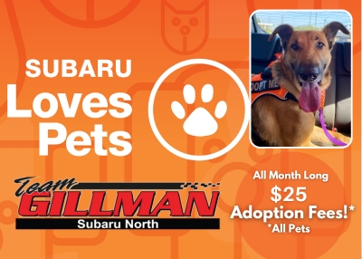 Houston Humane Society | Subaru Loves Pets