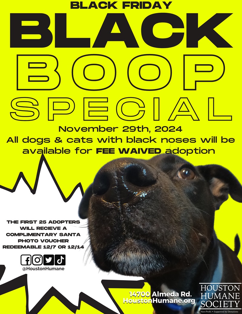 black-boop-special-3