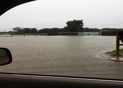 Houston Humane Society | Hurricane Harvey Update - 8/27