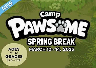 Houston Humane Society | Camp Pawsome Spring Break