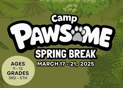 Houston Humane Society | Camp Pawsome Spring Break