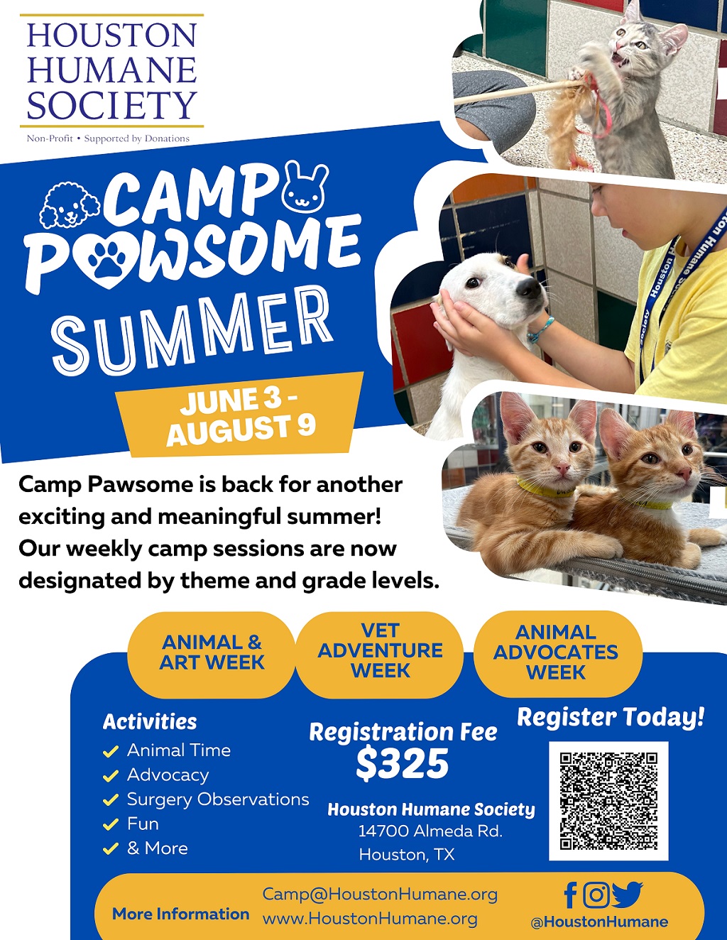 camp-pawsome-summer-flyer-2024