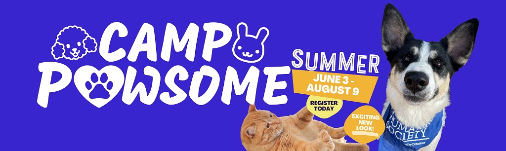 camp-pawsome-top