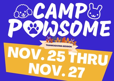 Houston Humane Society | Thanksgiving Camp Pawsome