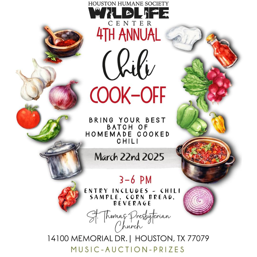 chili-cook-off-flyer