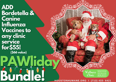 Houston Humane Society | PAWliday Bundle