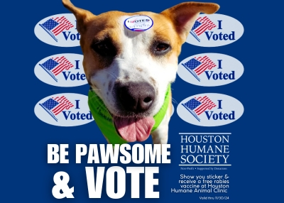 Houston Humane Society | Be Pawsome & Vote