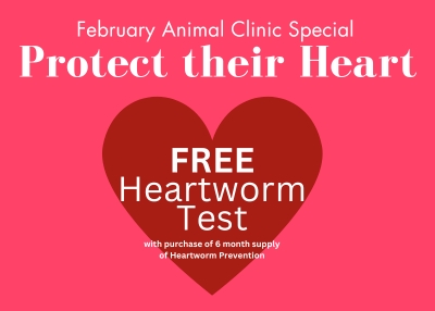 Houston Humane Society | Protect Their Heart Clinic Special