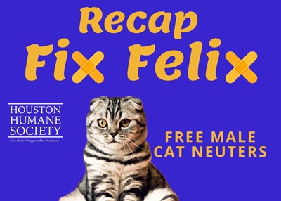 Houston Humane Society | Fix Felix Recap