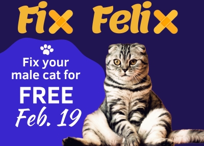 Houston Humane Society | Fix Felix