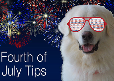 Houston Humane Society | 4th of July Pet Tips