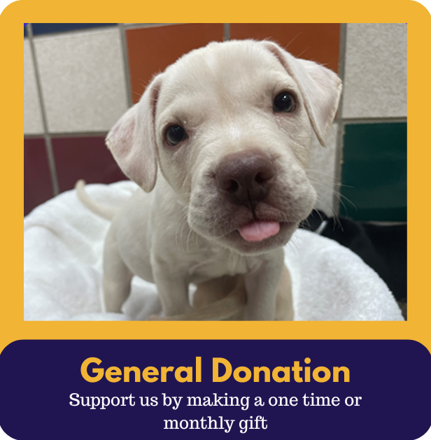 general-donation