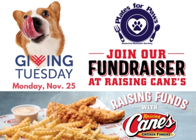 Houston Humane Society | Raising Canes Fundraiser 