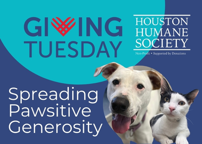 Houston Humane Society | Giving Tuesday