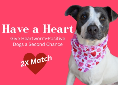 Houston Humane Society | Have a Heart 2X Match