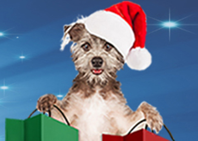 Houston Humane Society | Pawliday Market