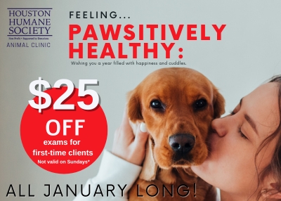 Houston Humane Society | January Clinic Special