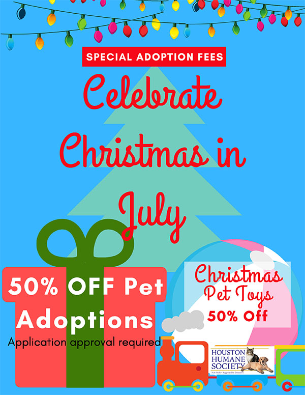 july-adoptions-promo-flyer