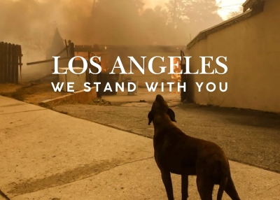 Houston Humane Society | Los Angeles, we stand with you