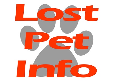 Houston Humane Society | What to do if your pet is lost