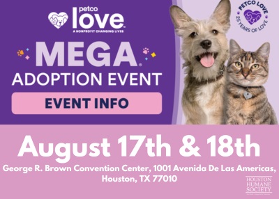 Houston Humane Society | MEGA Adoption 