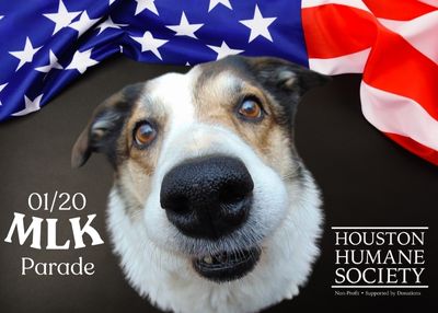 Houston Humane Society | MLK