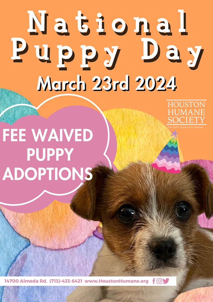 national-puppy-day-poster