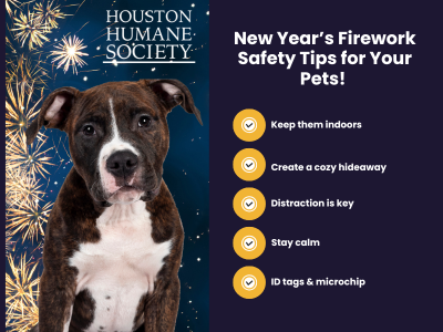 Houston Humane Society | New Year’s Firework Safety Tips for Your Pets! 🐾🎇