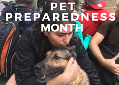 Houston Humane Society | Pet Preparedness Month 