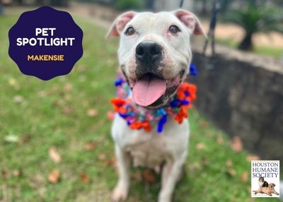 Houston Humane Society | Makensie