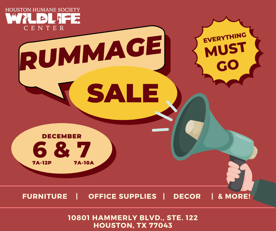 rummage-socials-post