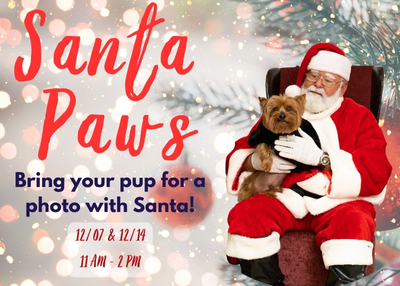 Houston Humane Society | Santa Paws