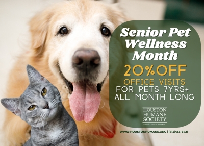 Houston Humane Society | Senior Pet Wellness Month