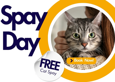 Houston Humane Society | Spay Day