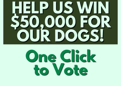 Houston Humane Society | Help us win $50,000 for our shelter dogs!