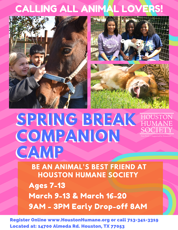 spring-break-2020-flyer