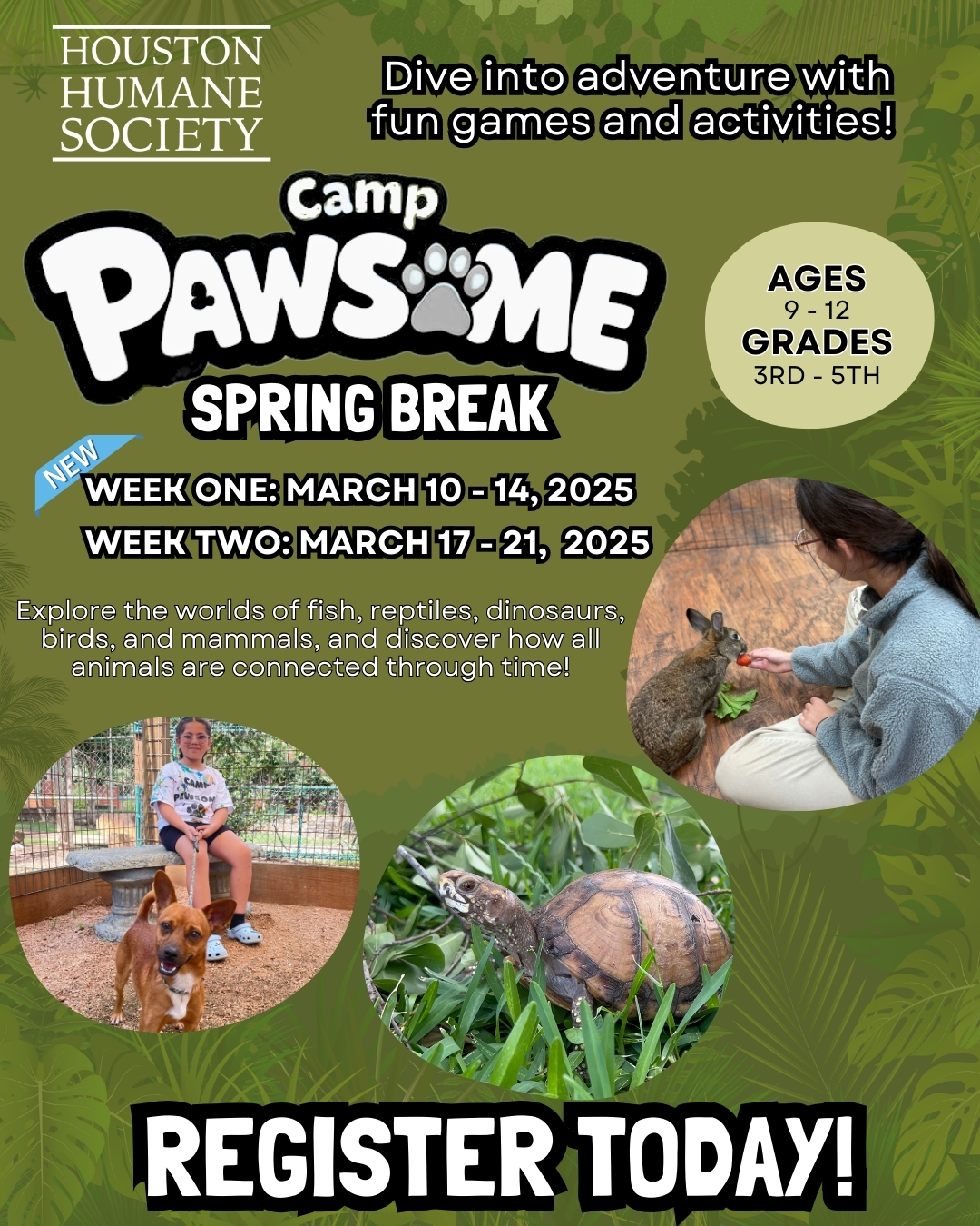 spring-break-camp-pawsome-ig-2