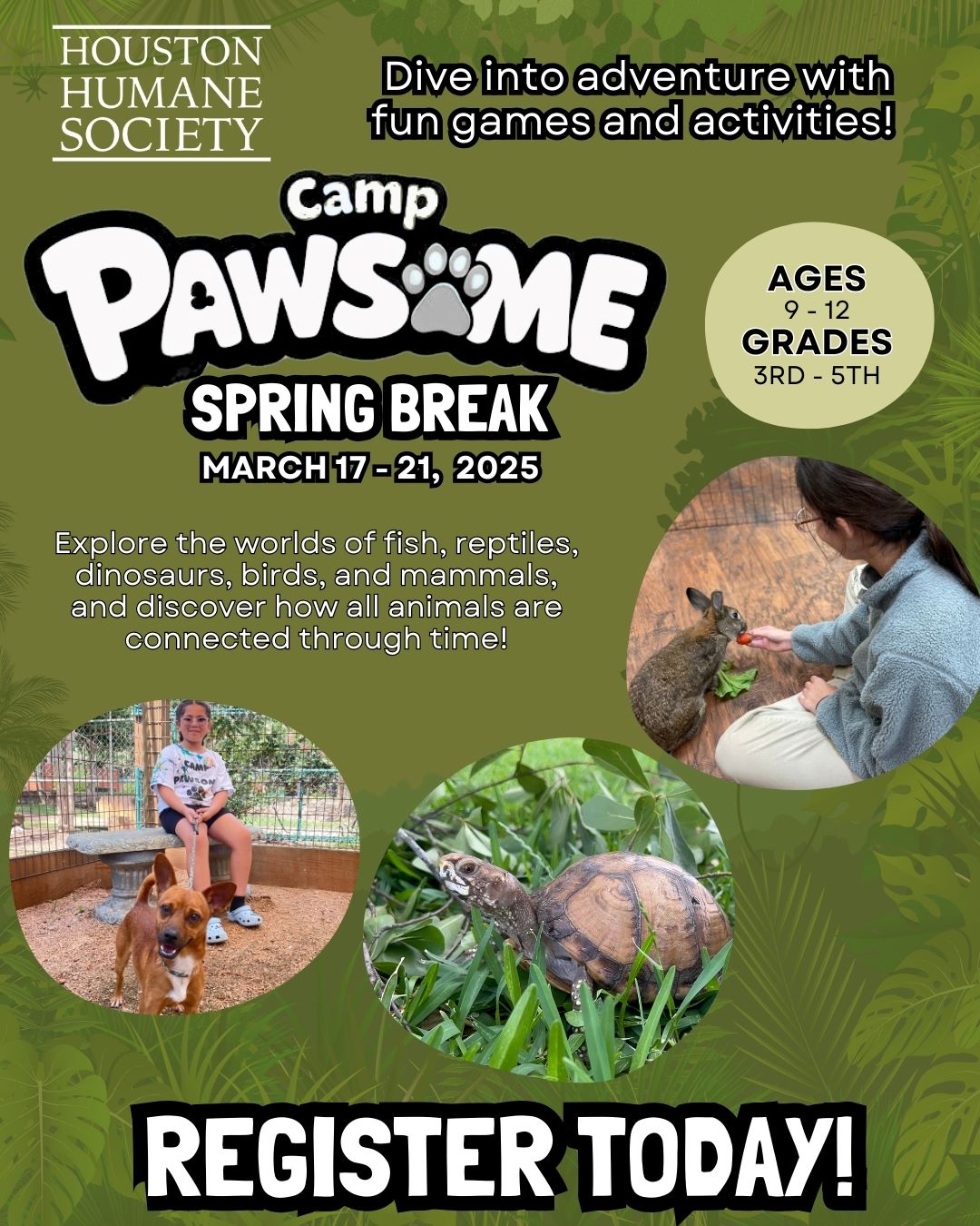 spring-break-camp-pawsome-ig