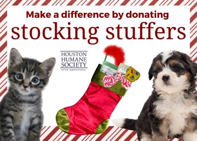 Houston Humane Society | 🎄🐾 Spread Holiday Cheer to Shelter Pets! 🐾🎄