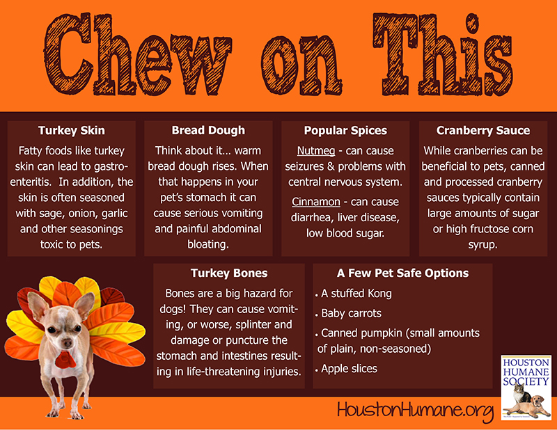 thanksgiving-food-graphic