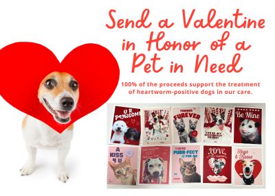 Houston Humane Society | Send a Valentine in honor of a pet in need ❤️