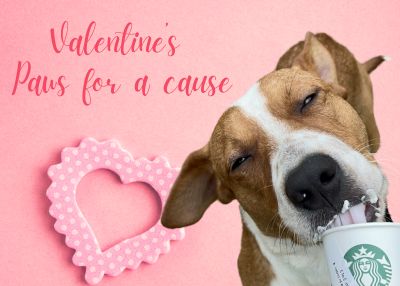 Houston Humane Society | Valentine’s Paws for a Cause